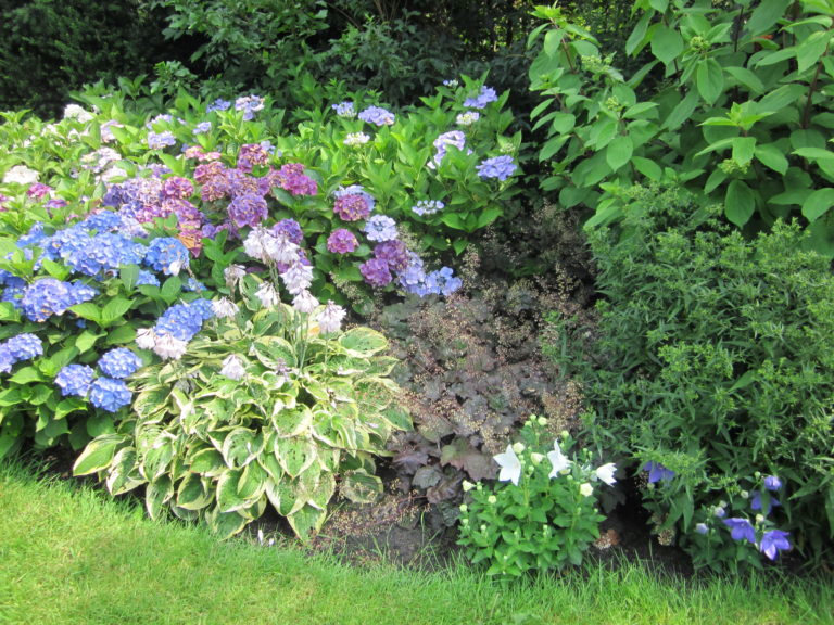 Foto’s De Zitjes Tuin