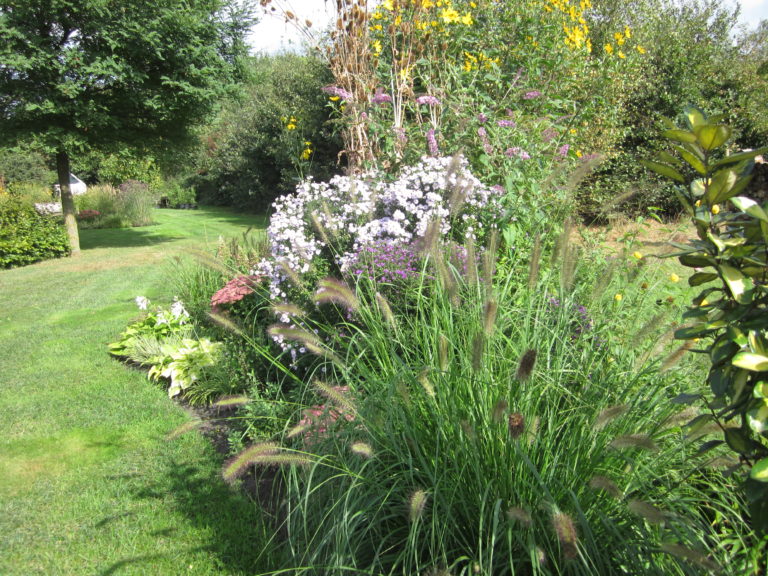 Foto’s De Zitjes Tuin